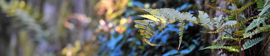 돈버는 방법을 공유하고 여행 등 힐링하는 곳